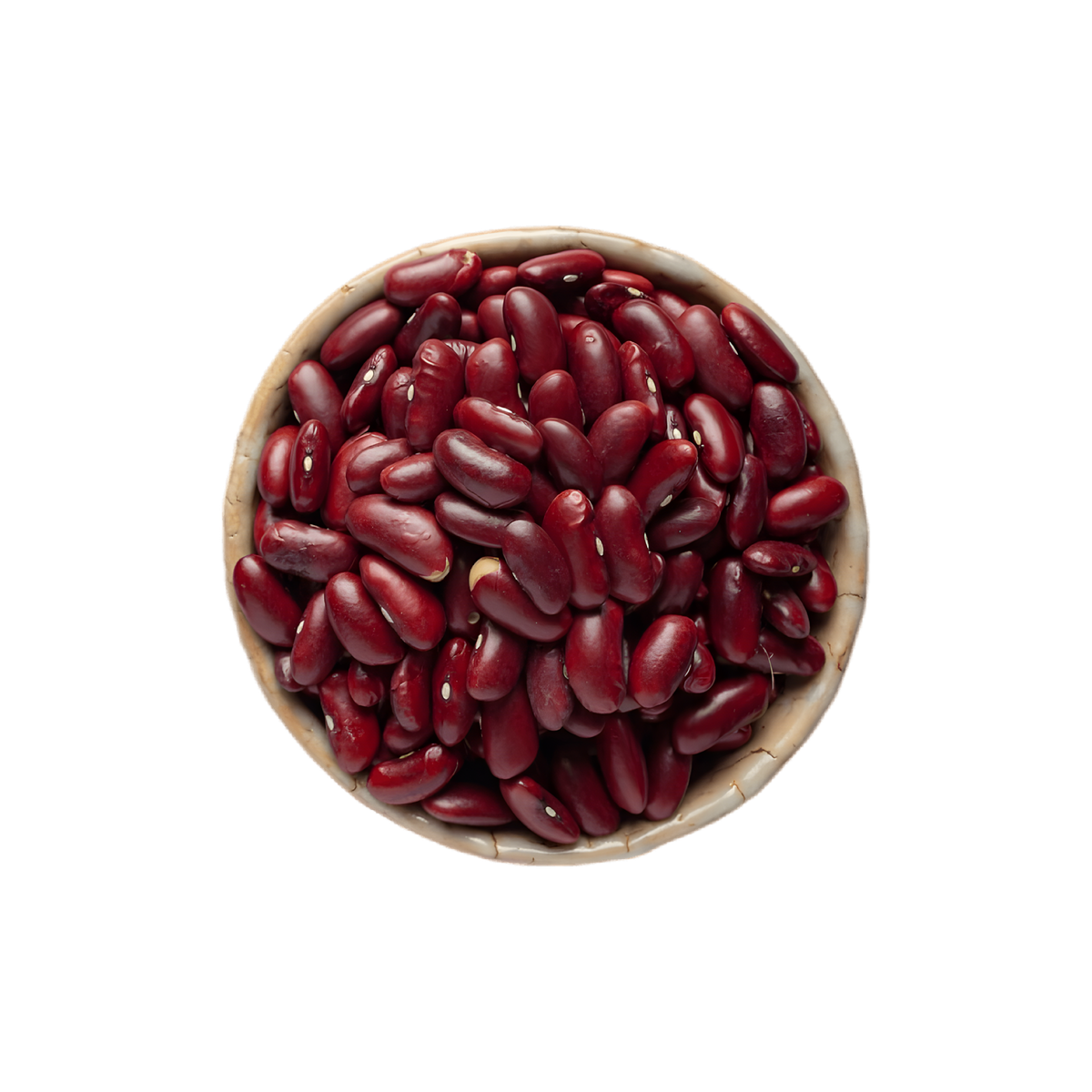Haricot rouge TERSOL