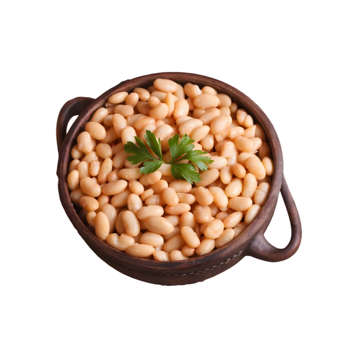 Haricots Blancs TERSOL