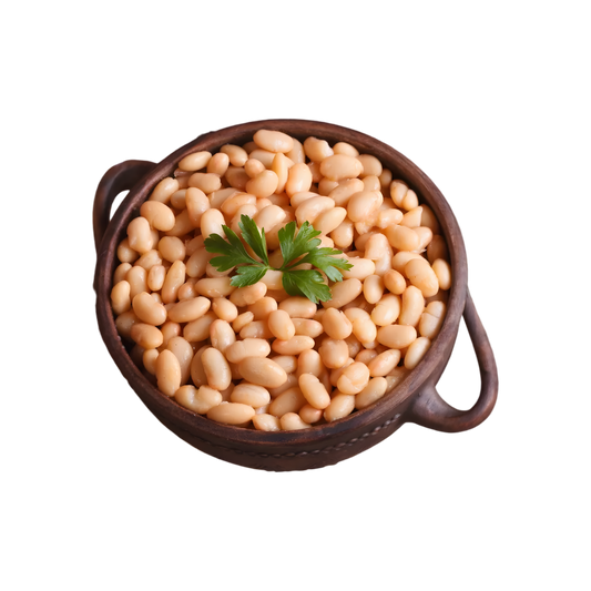 Haricots Blancs TERSOL