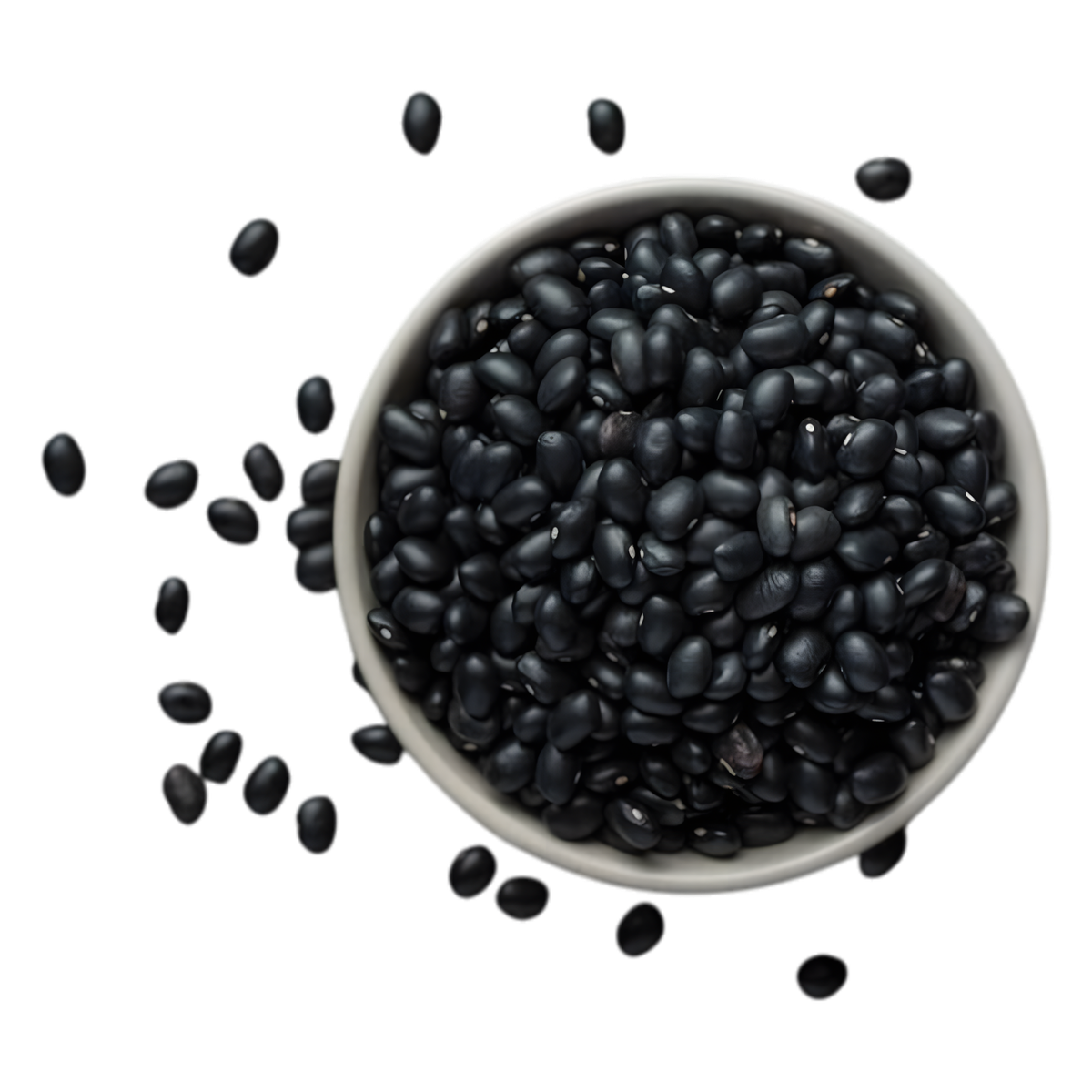 Haricots Noirs TERSOL