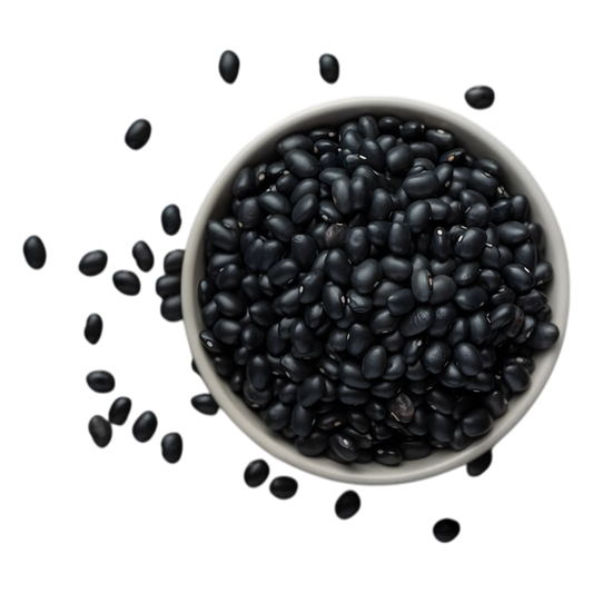 Haricots noirs type coco LEGUMOR