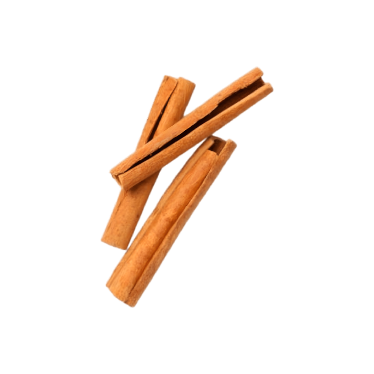 Infusion Défenses naturelles BIO PROPHYTAMINE
