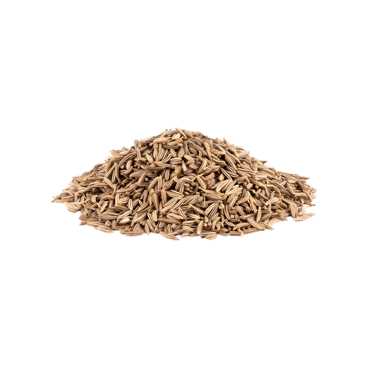 Infusion Digestion BIO PROPHYTAMINE