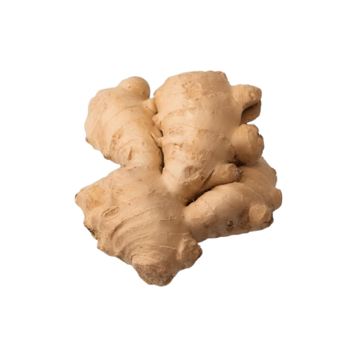 Infusion Vitalité Articulation BIO PROPHYTAMINE