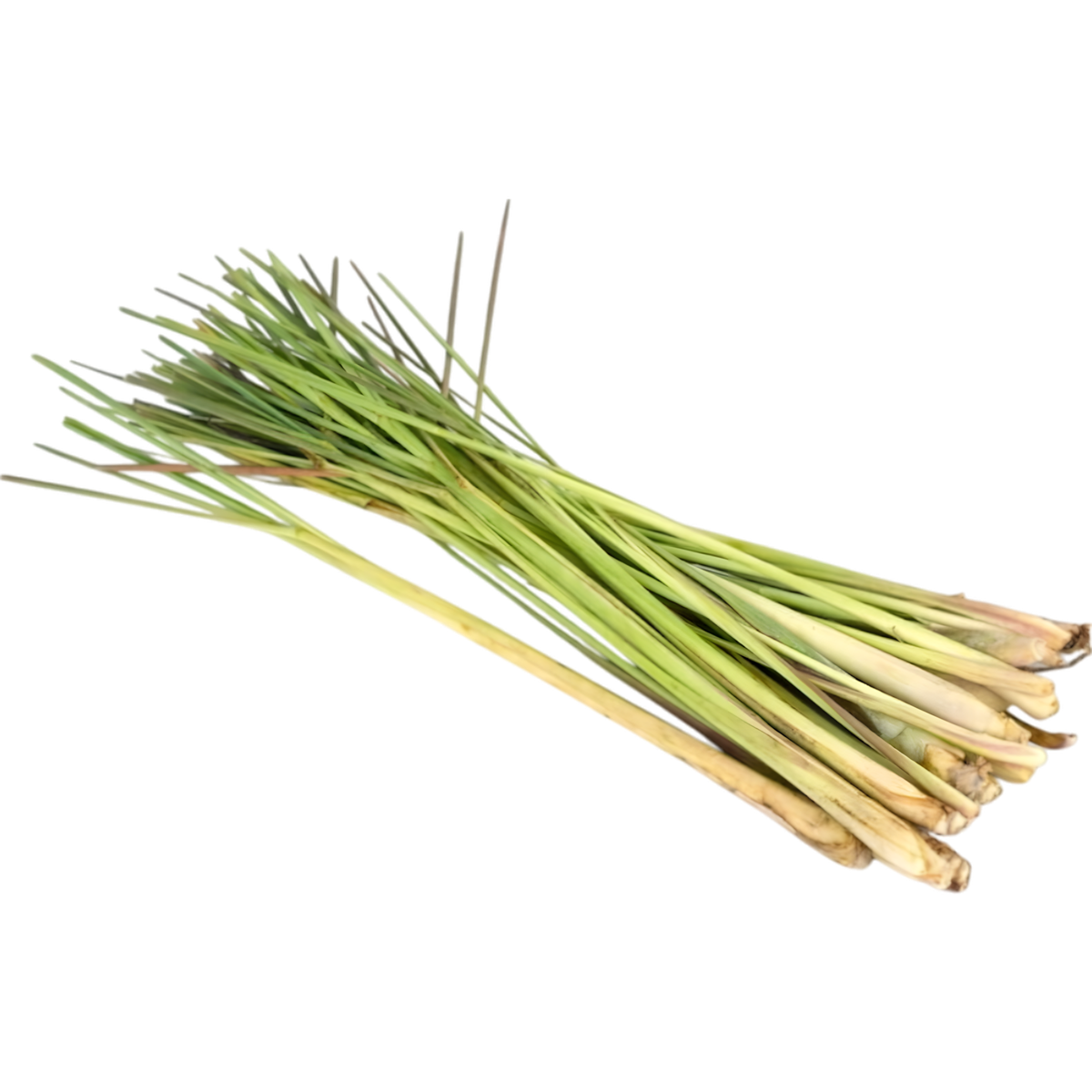 Infusion d'Afrique citronnelle gingembre RACINES