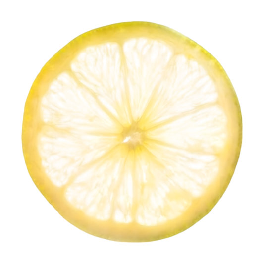 Jus de citron concentré PROFRUIT