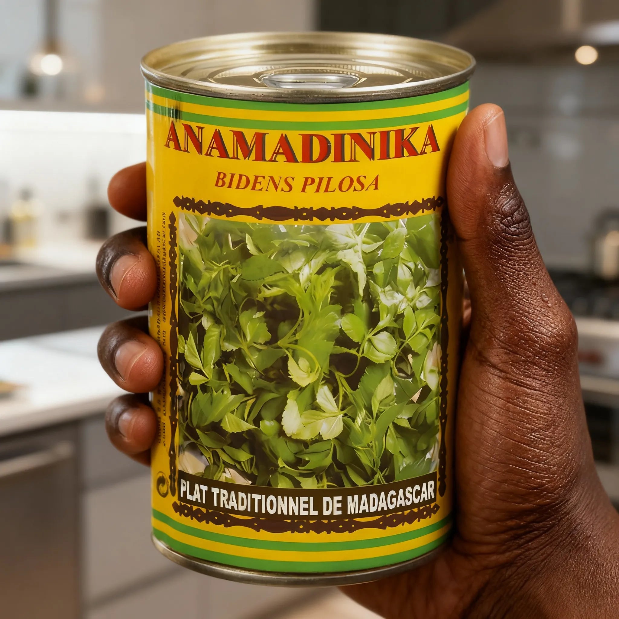 Main tenant une boîte d’Anamadinika CODAL, produit alimentaire surgelé malgache, riche en goût et fraîcheur préservée.