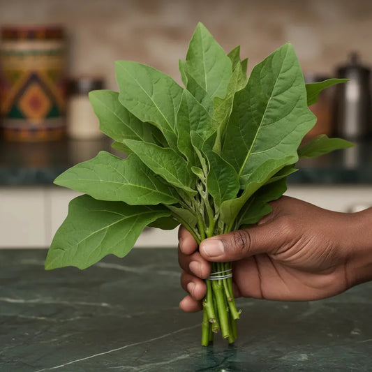 Main tenant un bouquet de feuilles d'aubergine africaines fraîches, ingrédient essentiel pour des plats africains savoureux.
