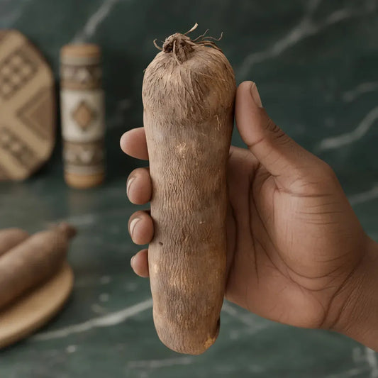 Main tenant un igname entier, tubercule frais utilisé dans de nombreuses recettes pour ses bienfaits nutritionnels.