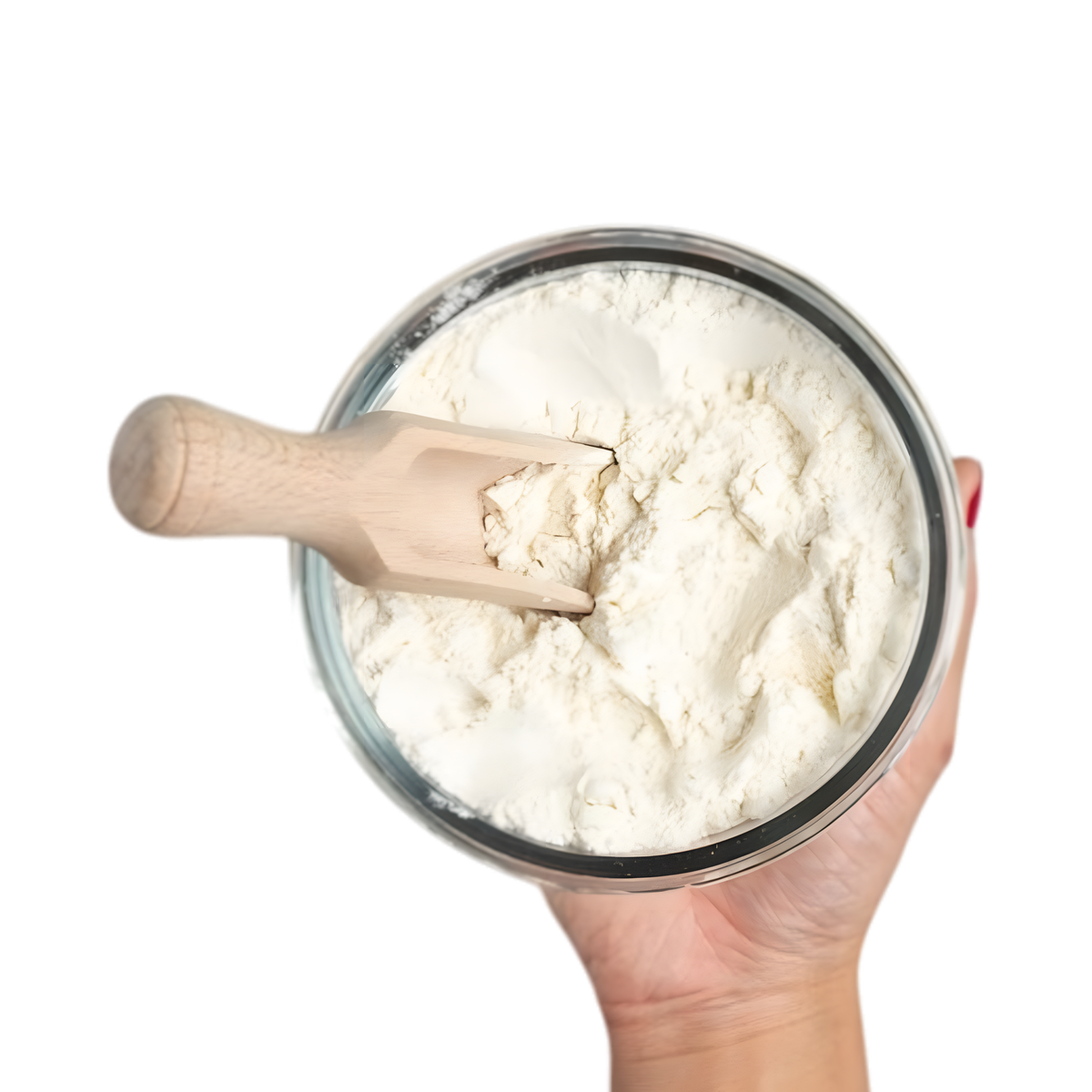 Lait en poudre Low Fat NIDO
