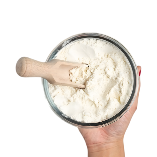 Lait en poudre Low Fat NIDO