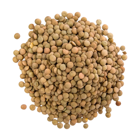Lentilles CELIMENE