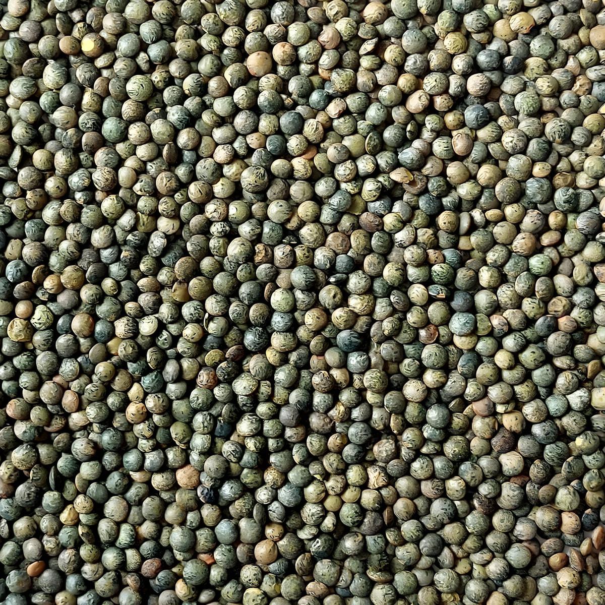 Lentilles vertes LEGUMOR