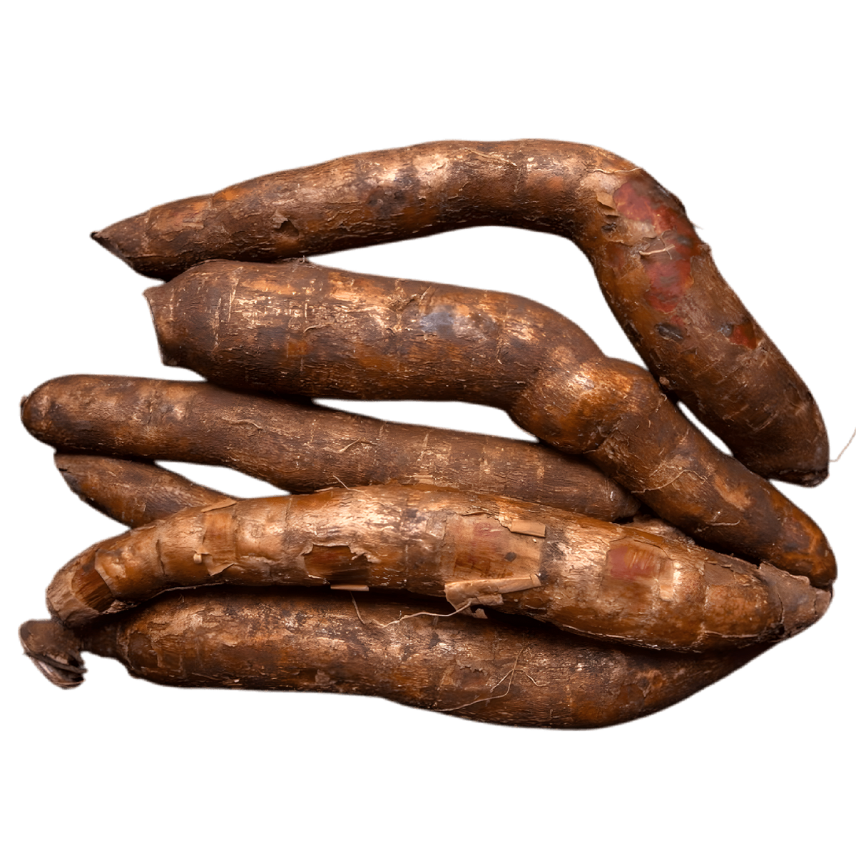 Manioc