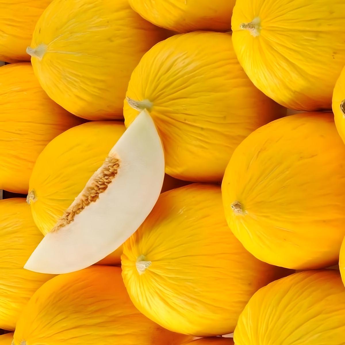 Melon