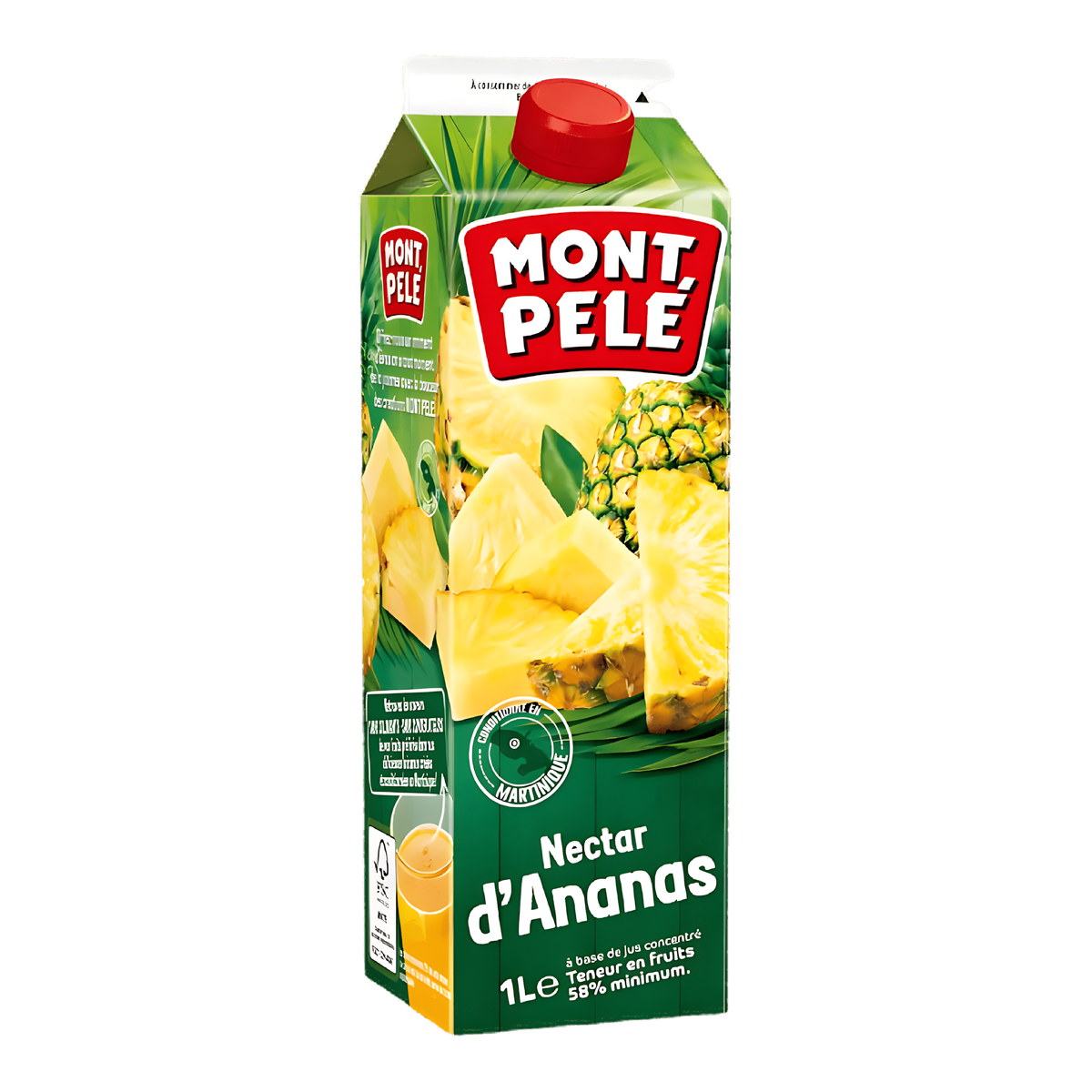 Nectar d'ananas MONTPELÉ