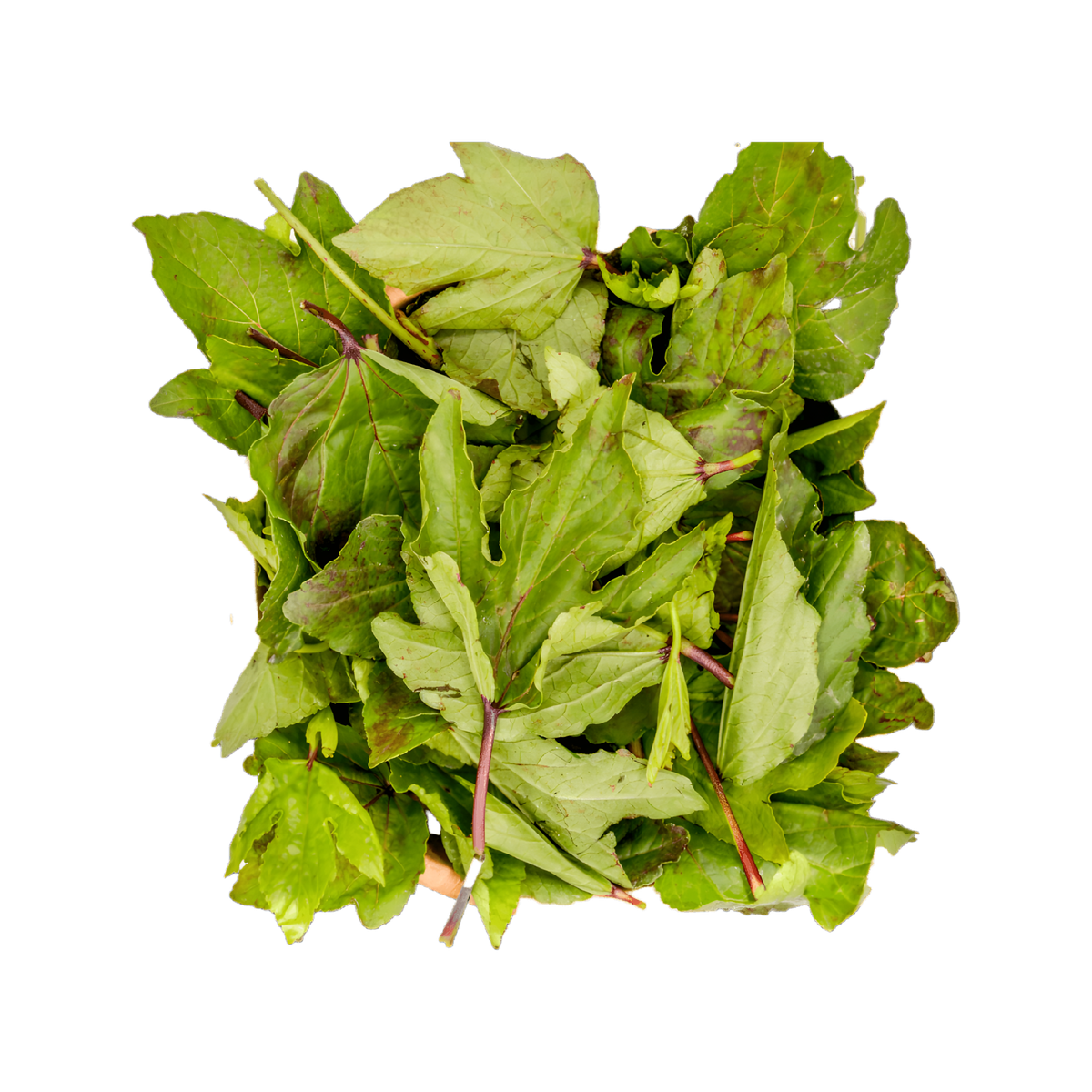 N'gai N'gai / Gnatou / Feuilles de bissap