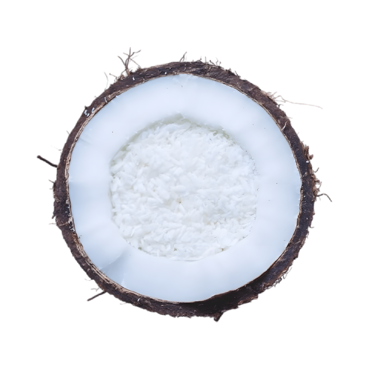Noix de coco râpée PROFRUIT