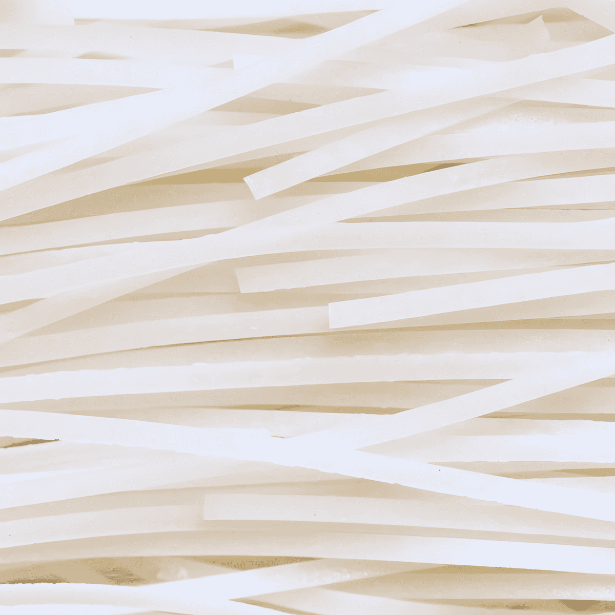 Nouilles de riz RACINES BIO