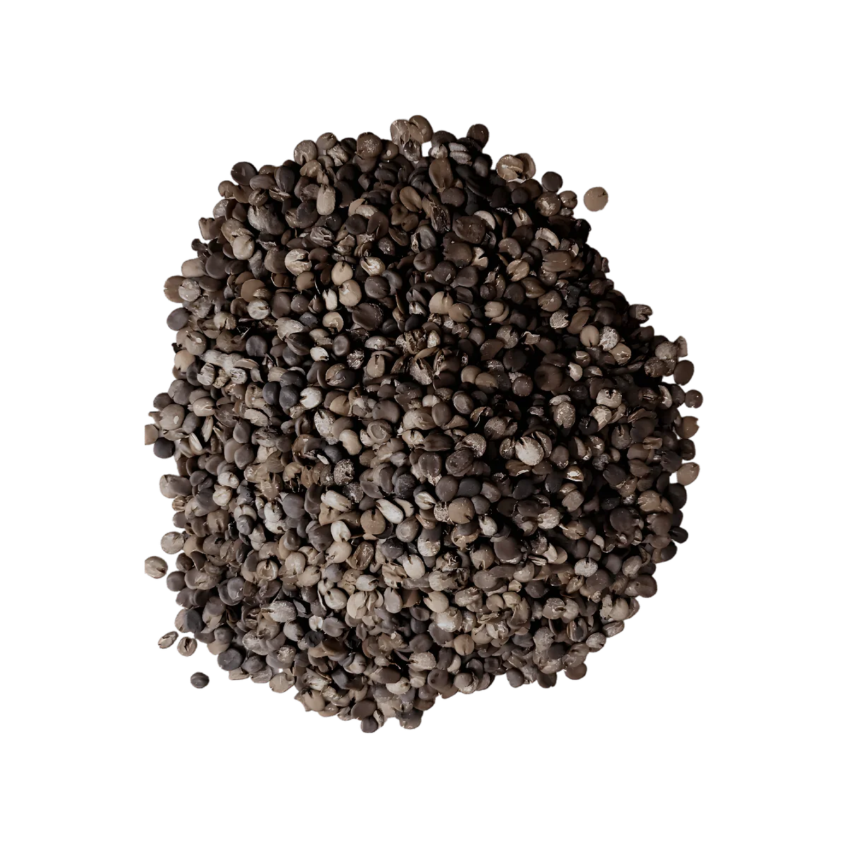 Soumbara Nététou en grains CATALEYA - vue ingrédients et texture | Épicerie africaine - Sénégal NKOSI