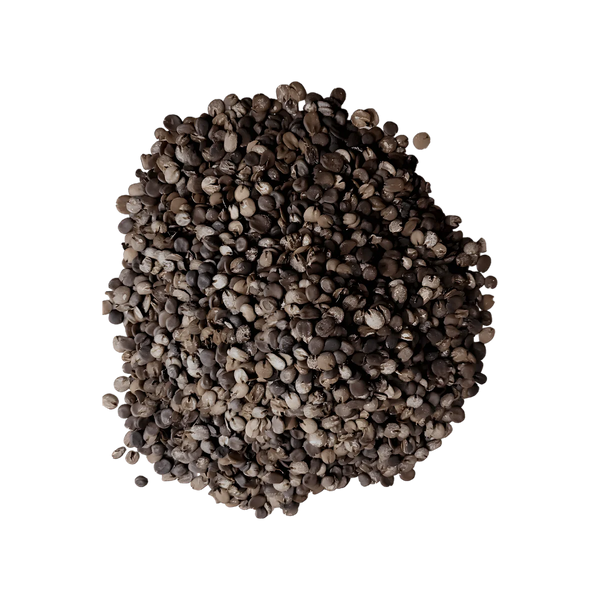 Soumbara Nététou en grains CATALEYA - vue ingrédients et texture | Épicerie africaine - Sénégal NKOSI