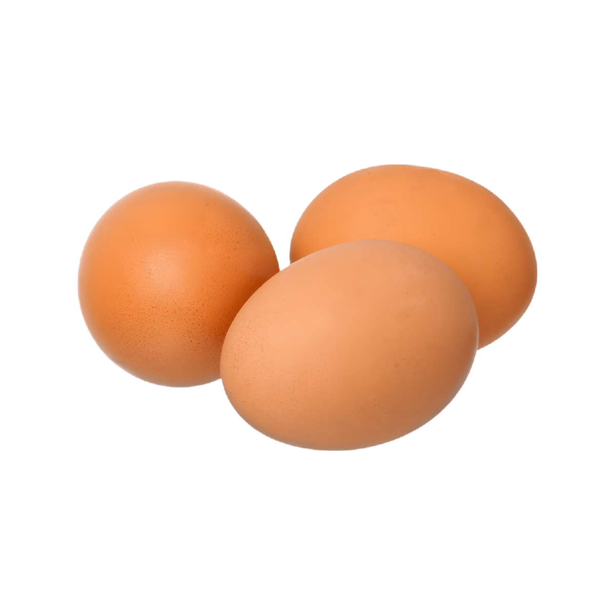 Oeufs BIO LOUE