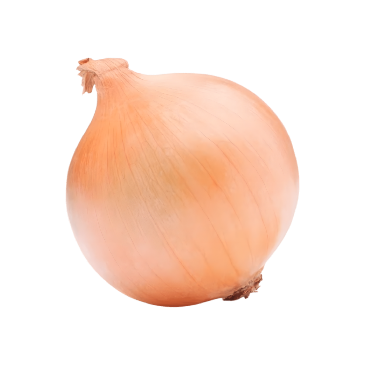 Oignon jaune