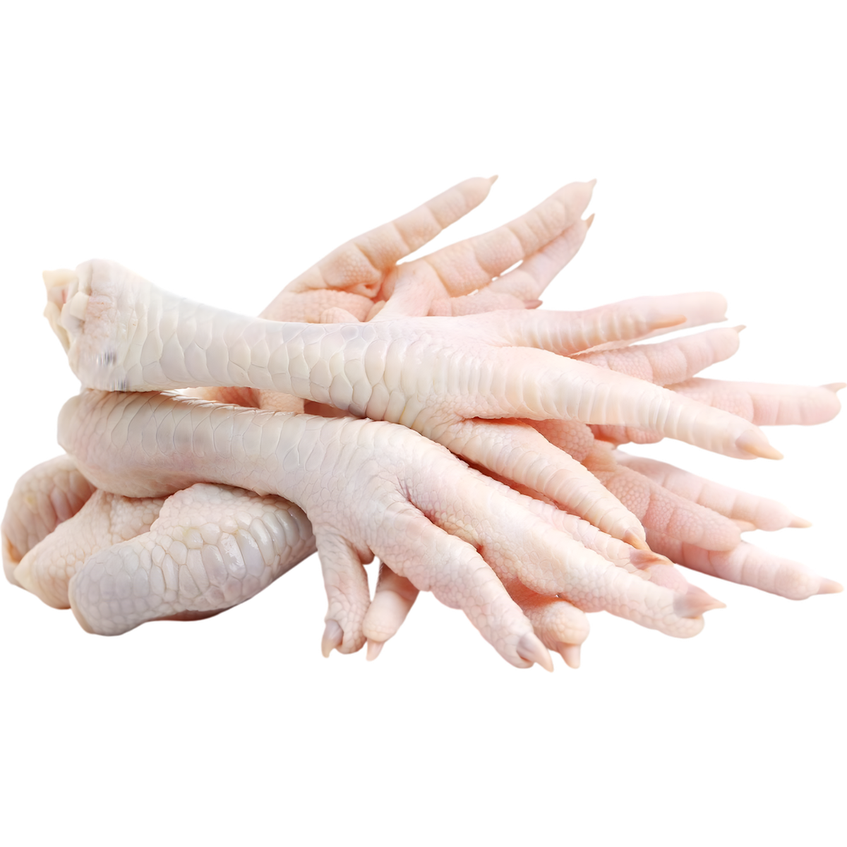 Patte de poulet halal PAWS