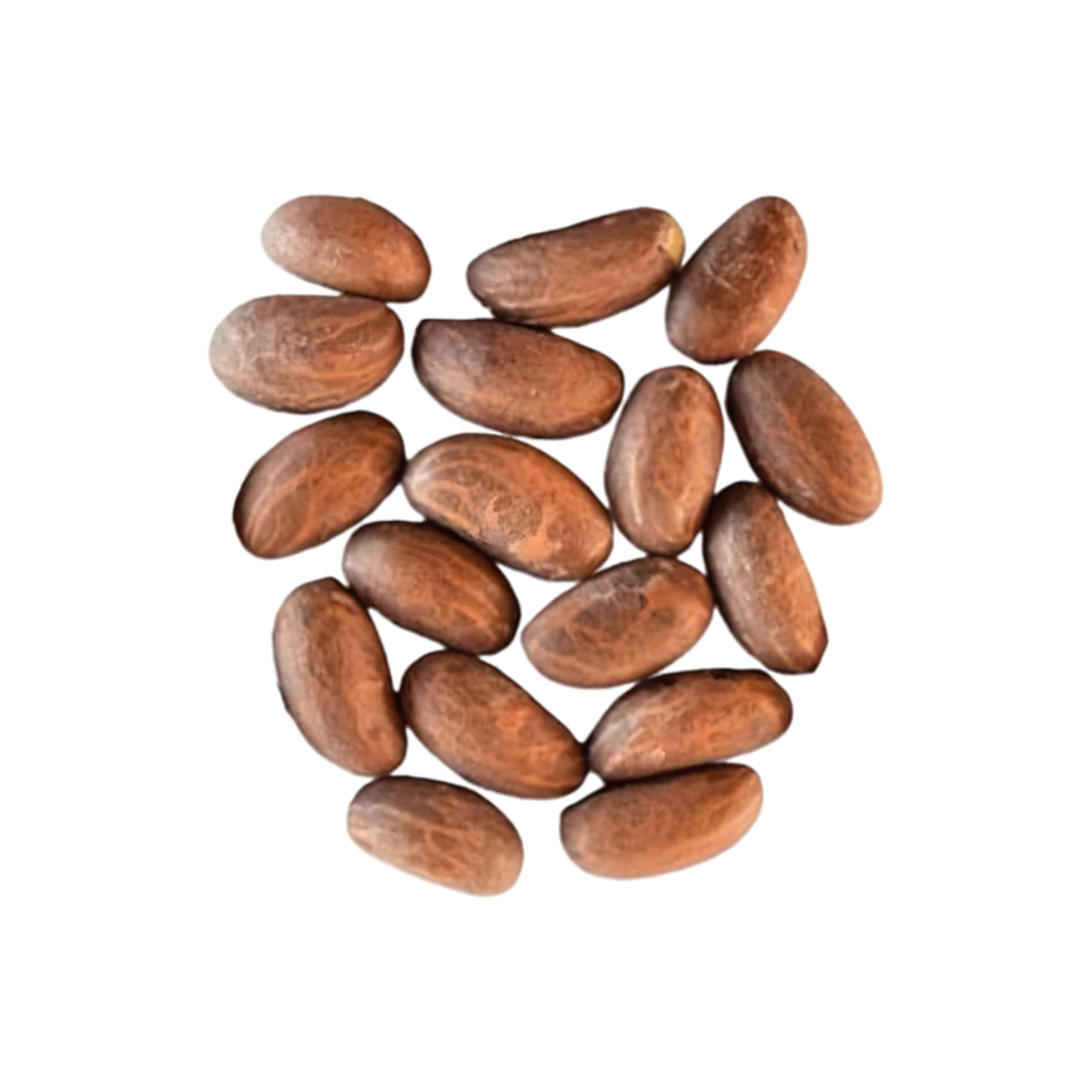 Petit cola / Bitacola