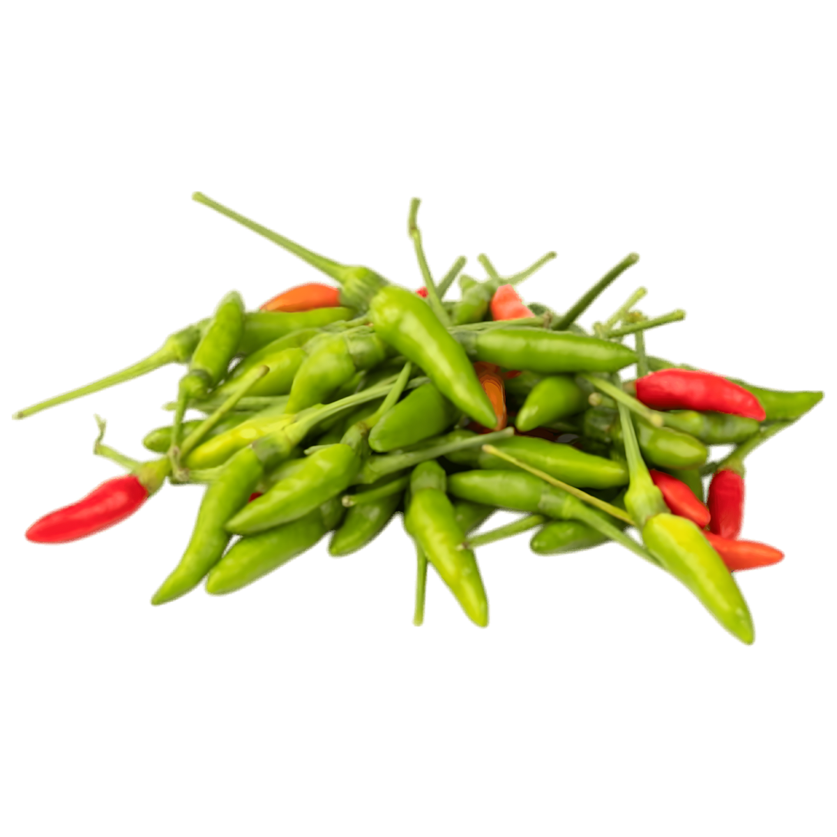 Piment oiseau