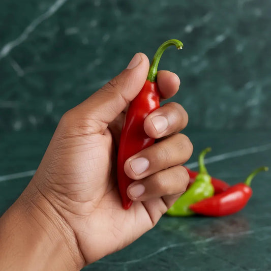 Main tenant un piment végétarien rouge frais, variété douce parfaite pour rehausser les plats sans piquant intense.