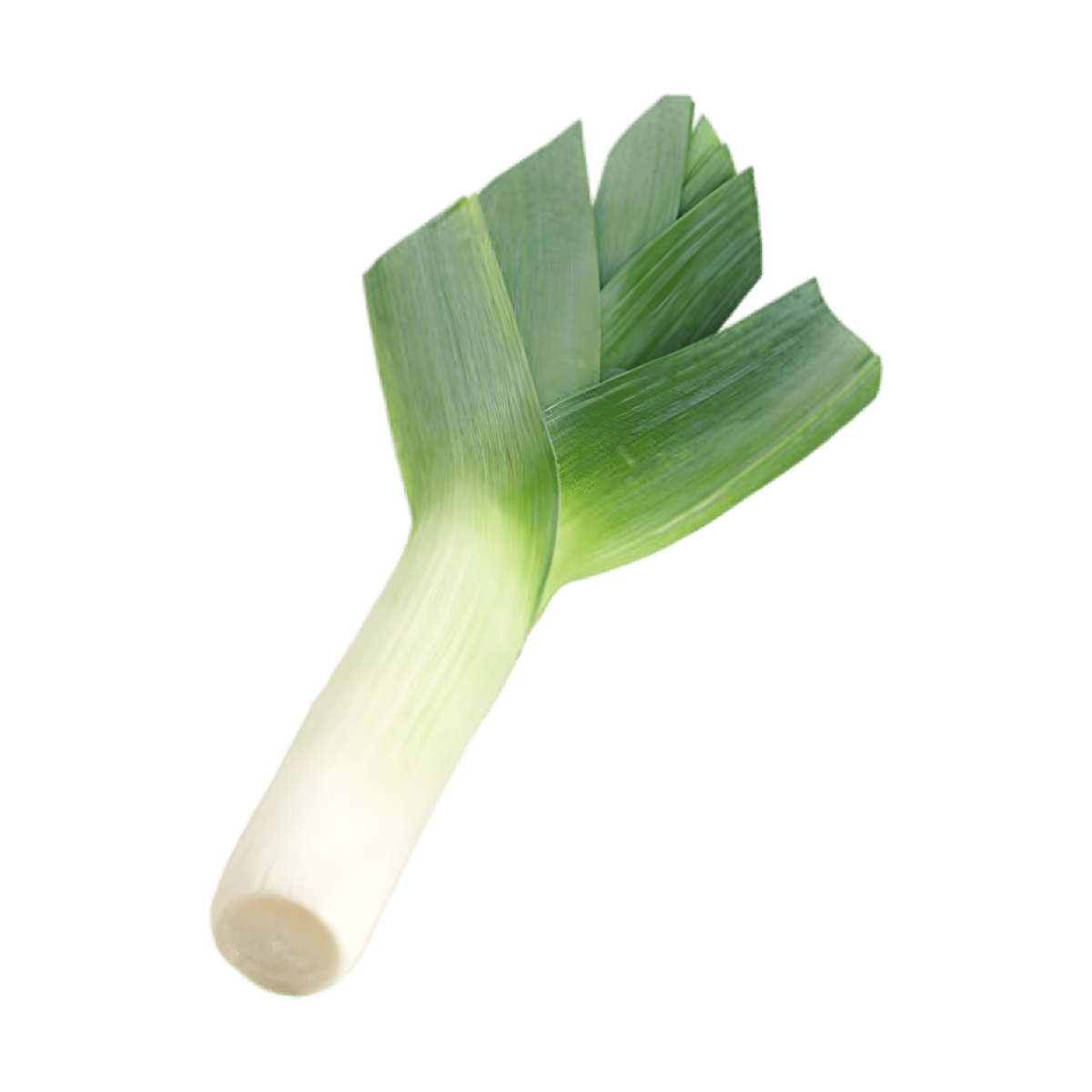 Poireau