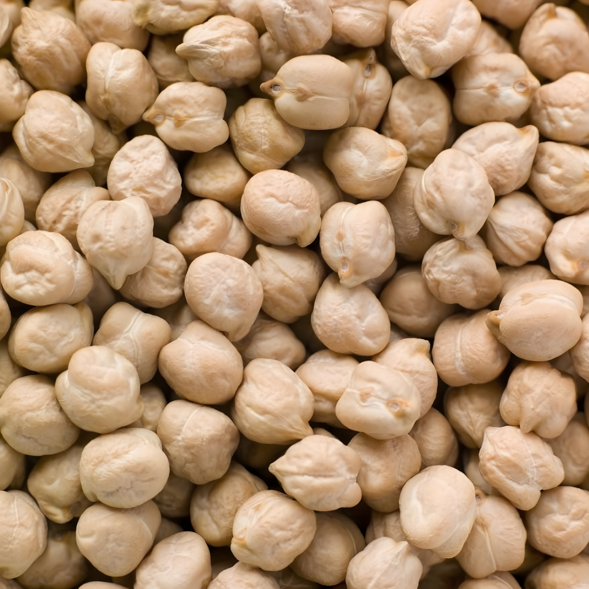 Pois chiches 9mm LEGUMOR