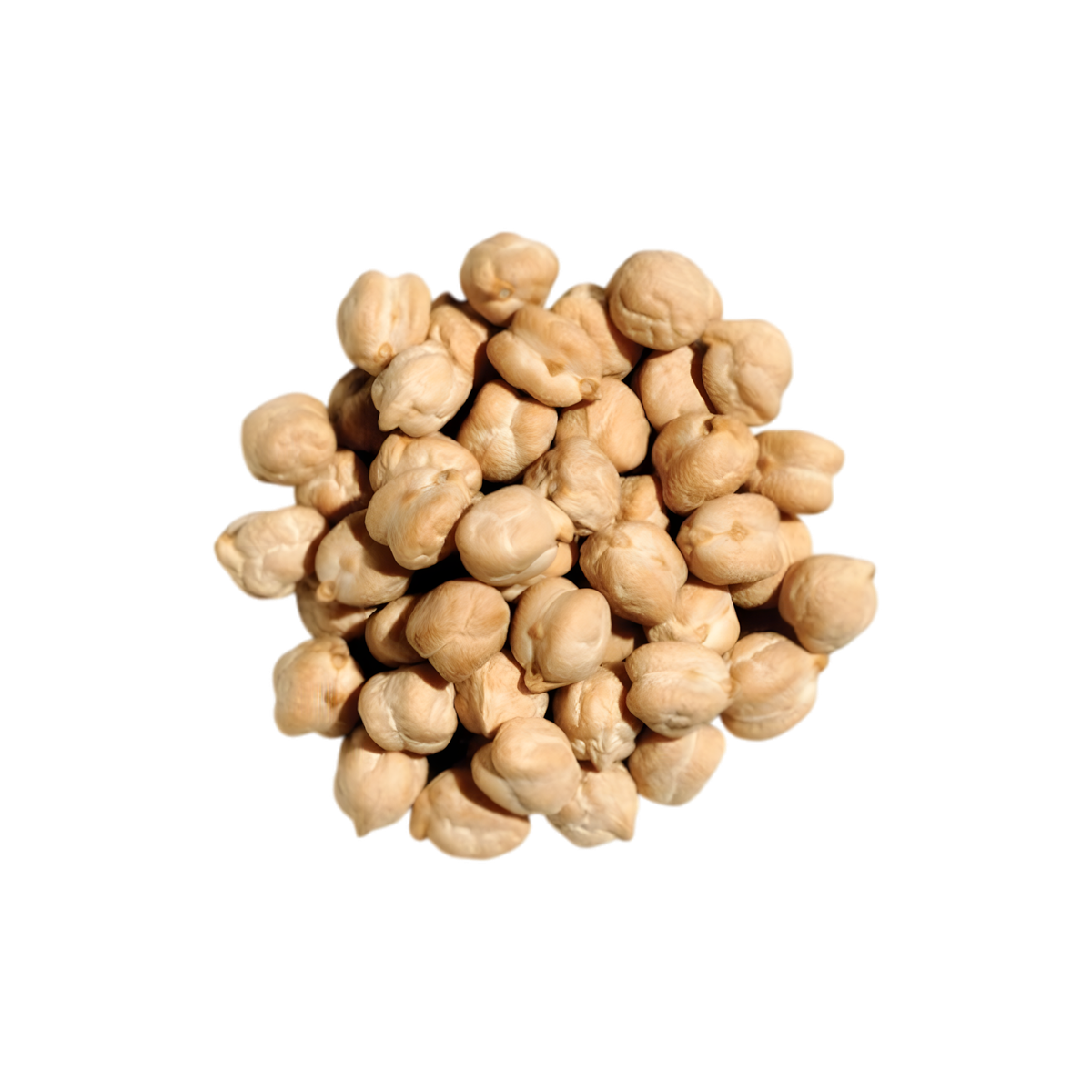 Pois chiches en conserve SAMIA
