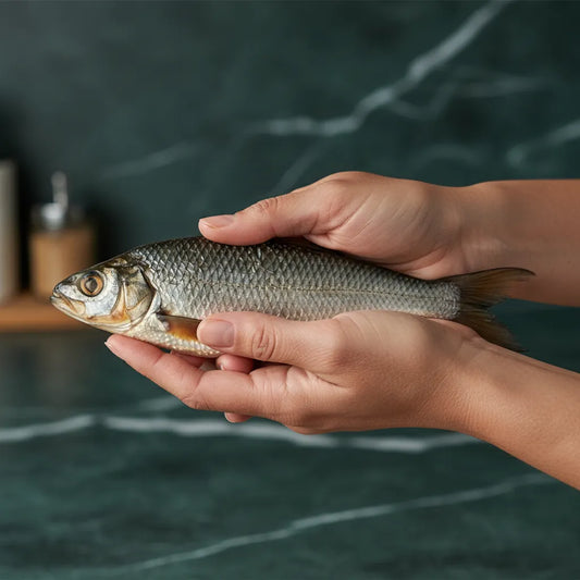 Capitaine NANKA Fumé tenu à deux mains, illustrant la qualité et la texture du poisson fumé prêt à cuisiner.