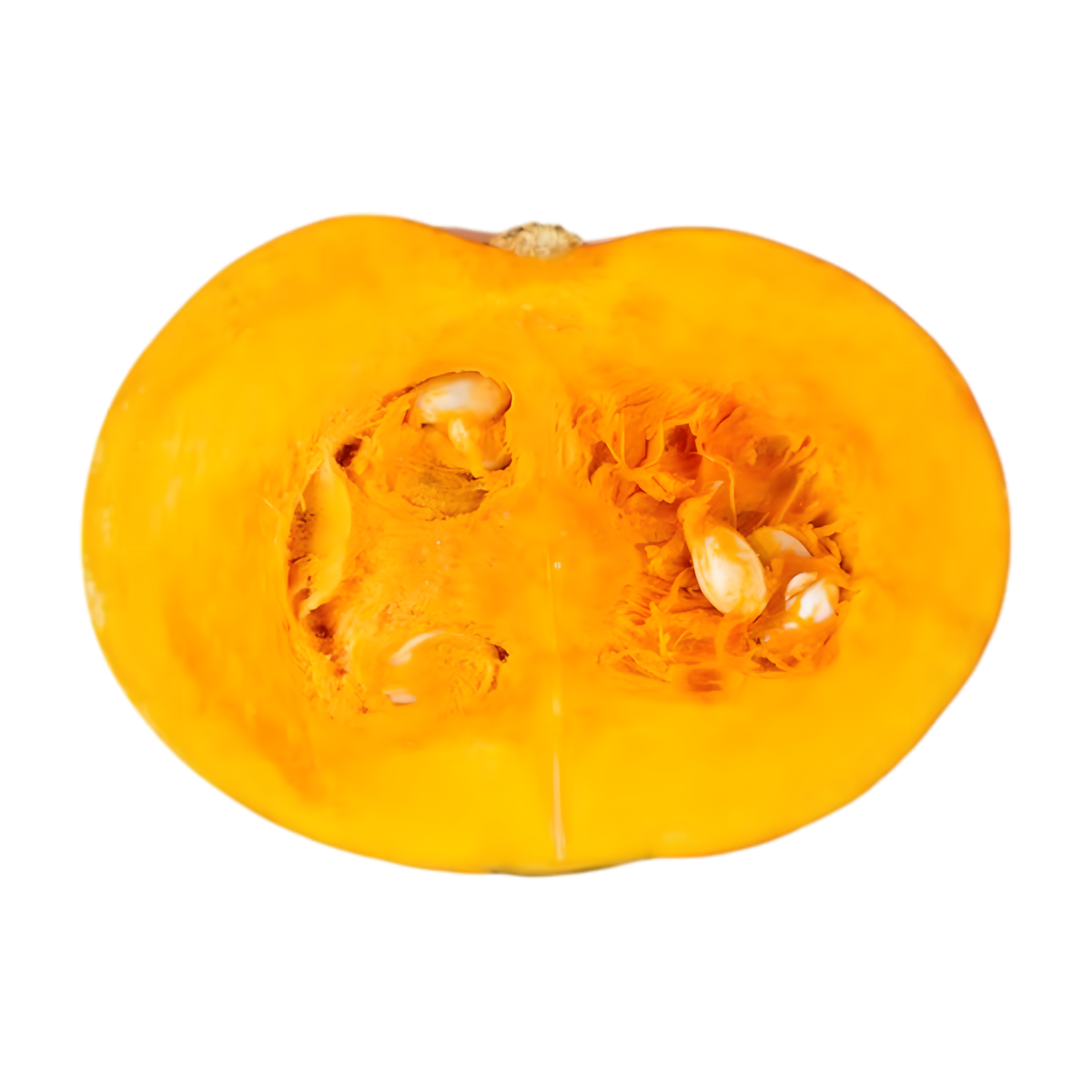 Potiron