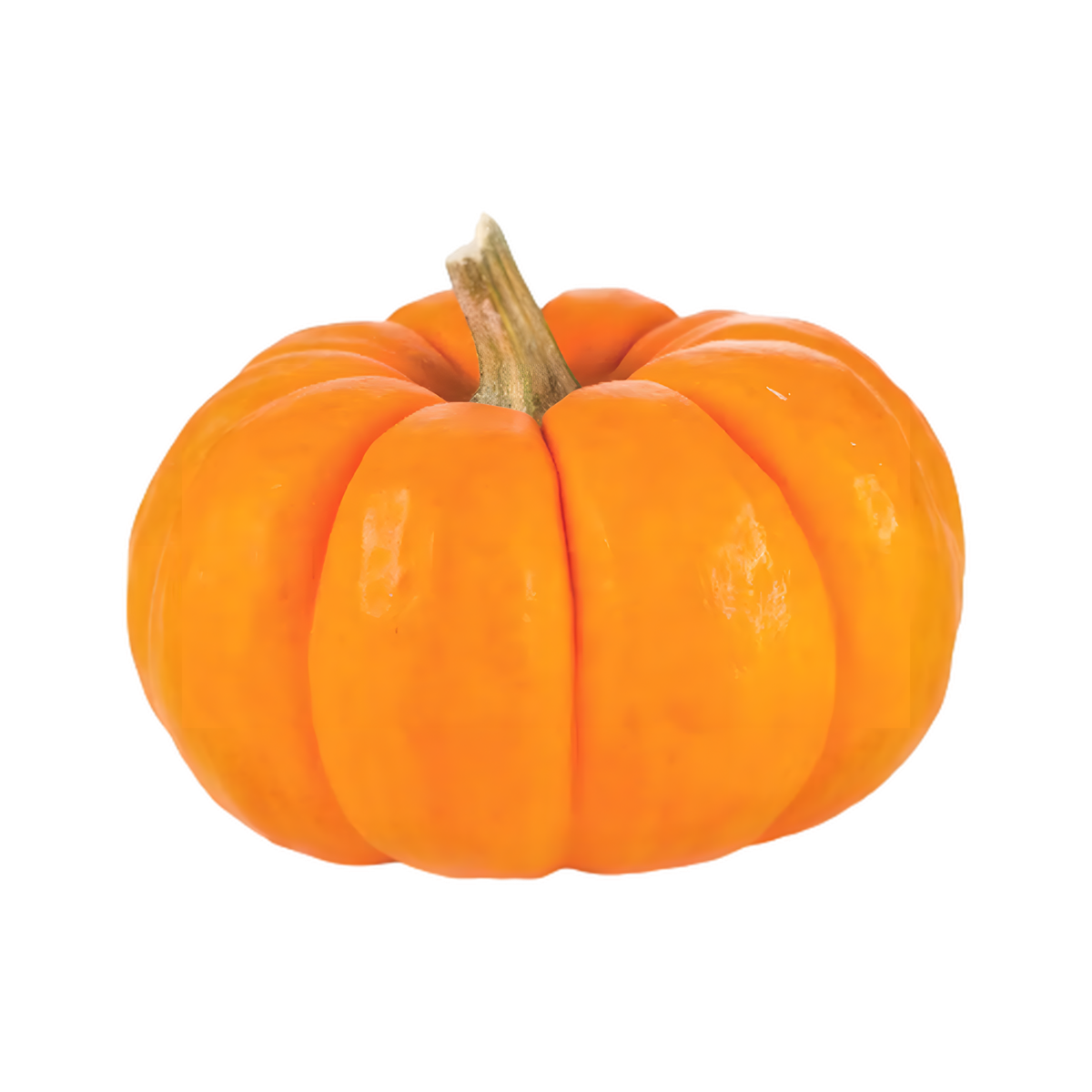 Potiron