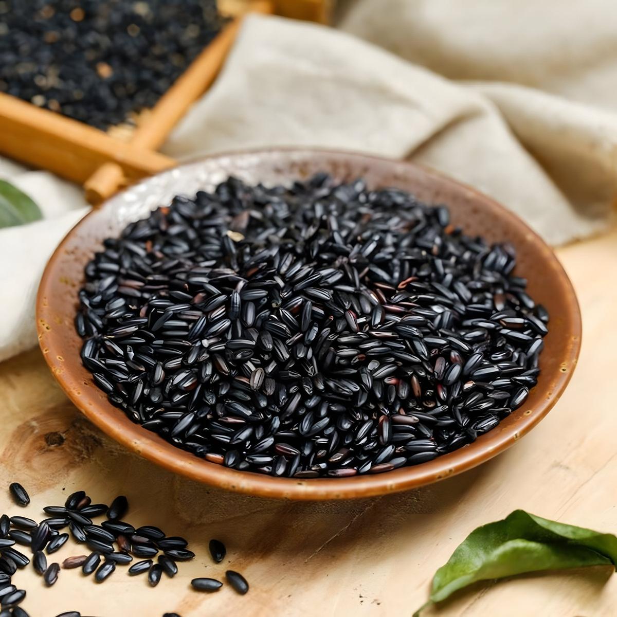 Riz Sauvage TERSOL