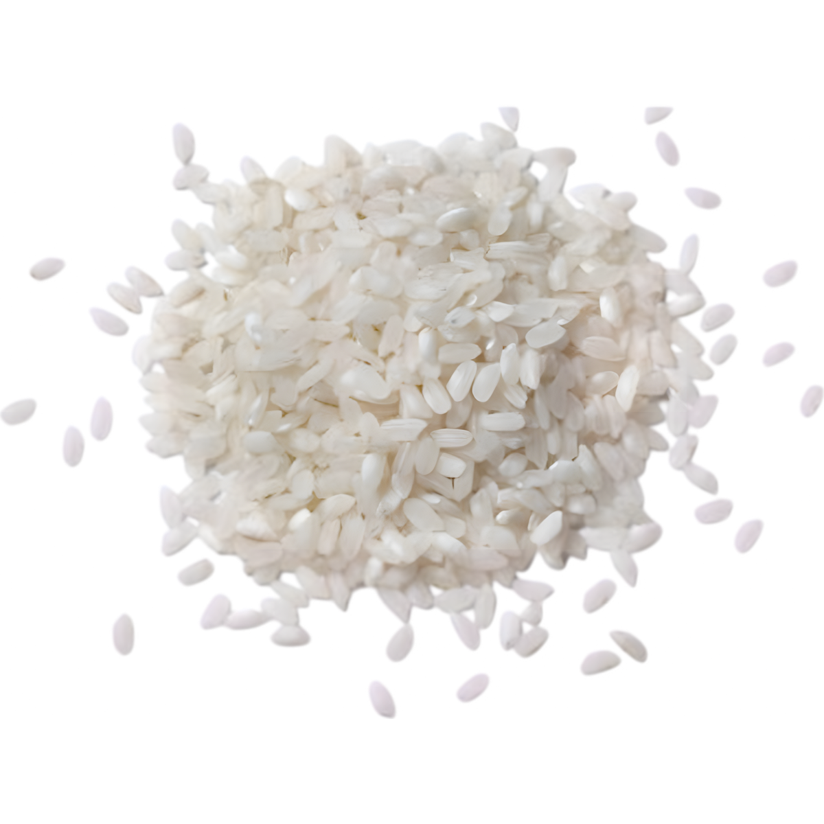 Riz Sushi TERSOL