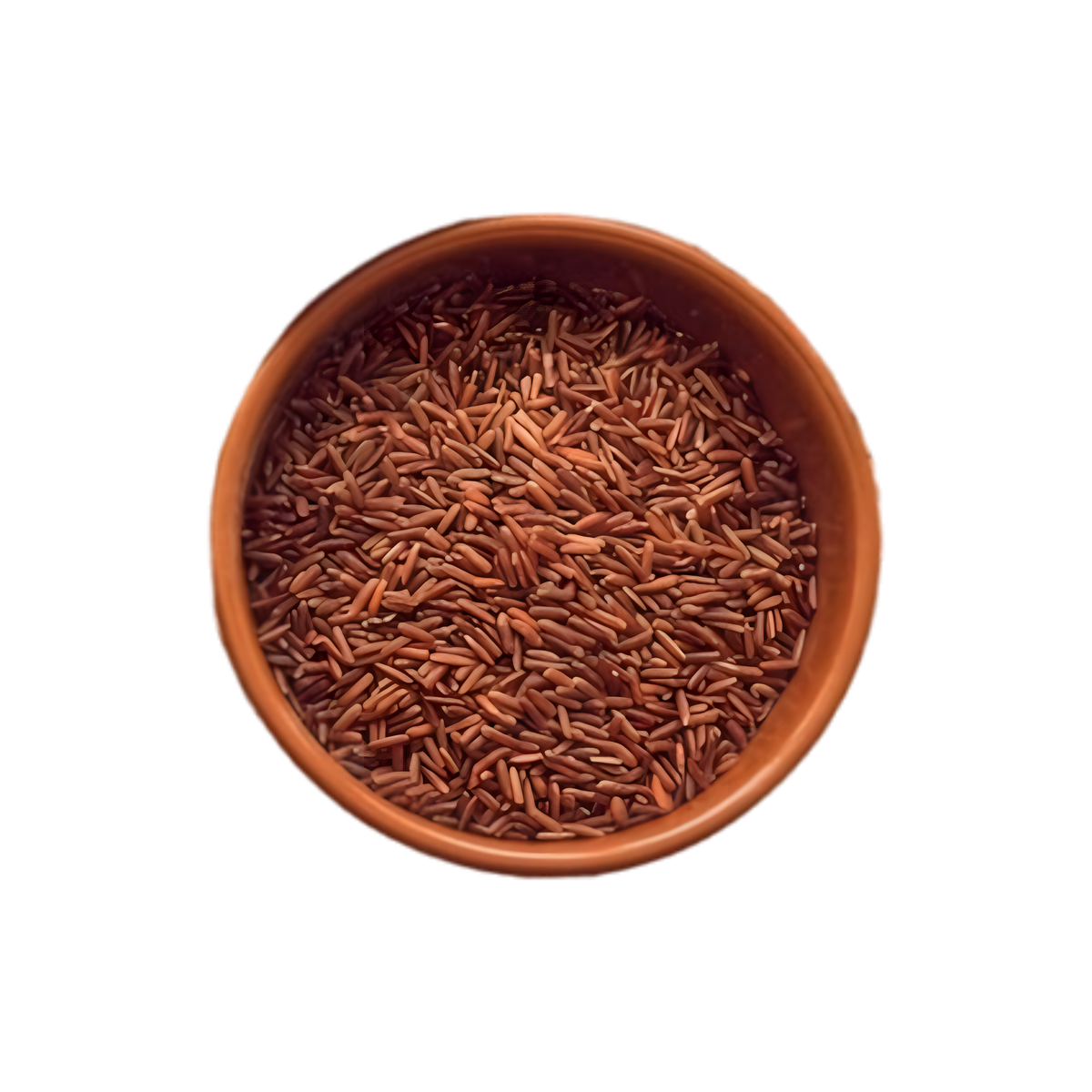 Riz rouge TERSOL