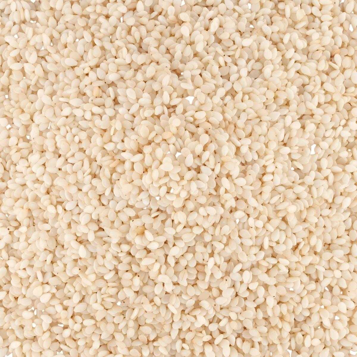 Sésame blanc SAMIA