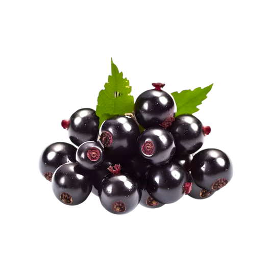 Soda goût cassis ROYAL SODA