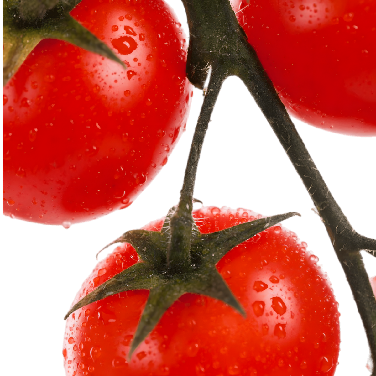 Tomates