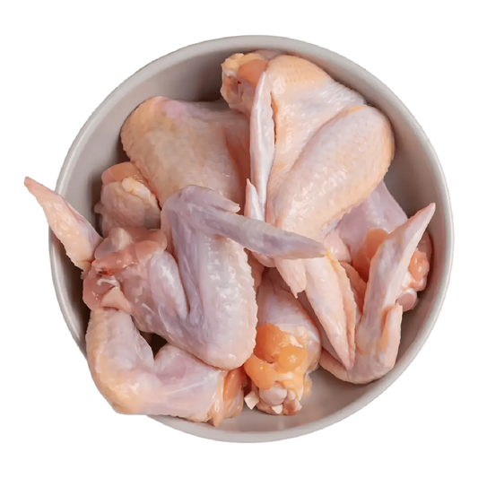 Bol rempli d’ailerons de dinde nature surgelés, morceaux crus prêts à cuisiner. Parfait pour plats à base de volaille.