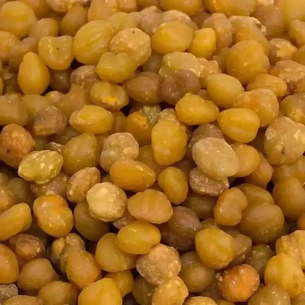 Gros plan sur les graines d'Akpi, super aliment africain riche en nutriments. Utilisé pour ses bienfaits digestifs et culinaires.