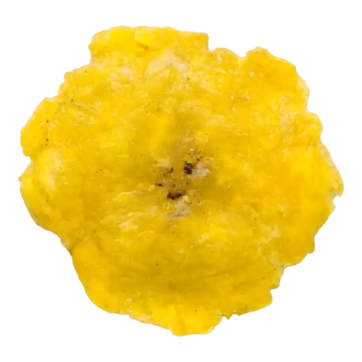 Tranche de banane plantain frite Alloco, texture dorée et moelleuse, parfaite pour un plat gourmand ou en snack exotique.