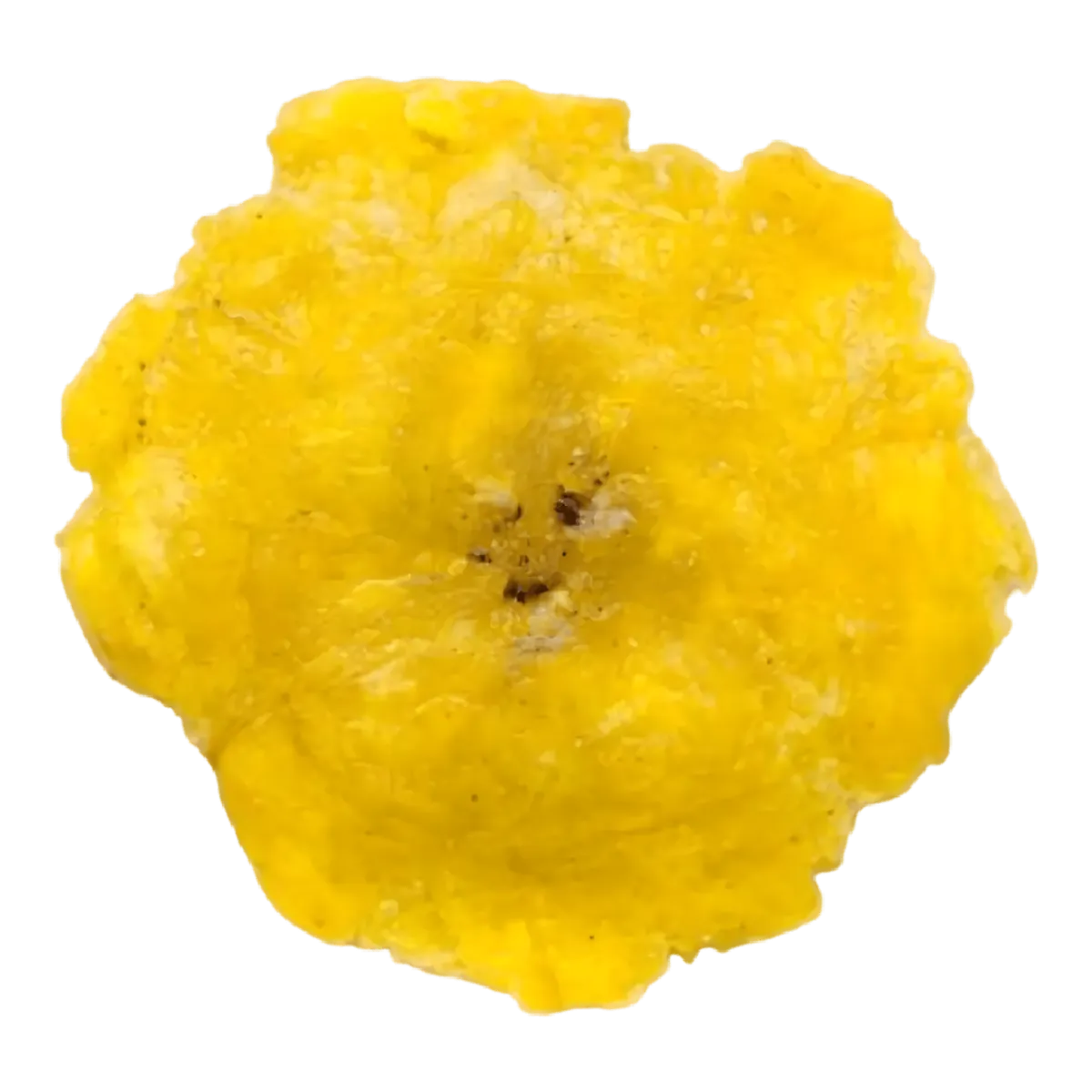 Rondelle de banane plantain frite - Alloco, dorée et croustillante. Parfaite pour un apéritif ou un accompagnement gourmand.