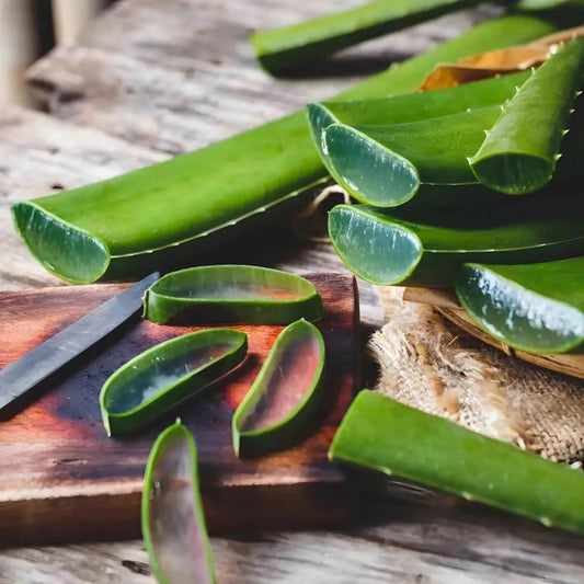 Feuilles d'Aloe Vera coupées sur une planche en bois, prêtes à être utilisées. Gel Aloe Vera - Bienfaits Aloe | Propriétés Nutritionnelles pour alimentation.