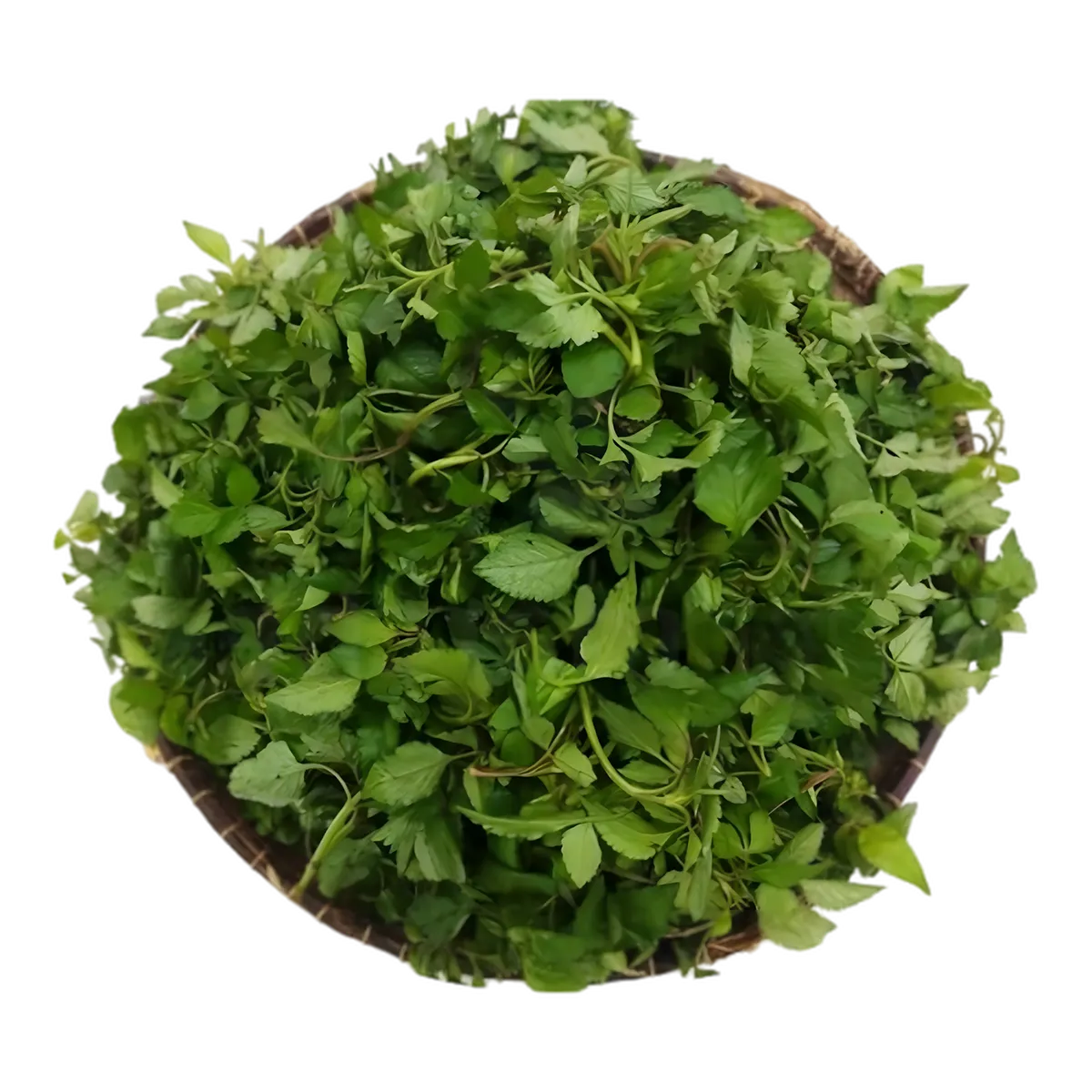 Feuilles fraîches d'Anamadinika CODAL - Légume traditionnel malgache, idéal pour recettes authentiques et cuisine exotique.