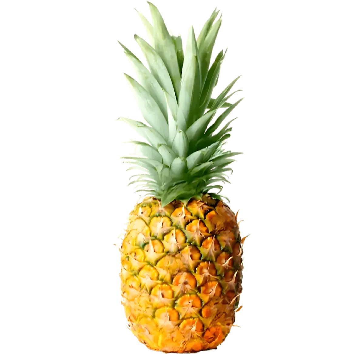 Ananas Variété Extra Sweet entier avec couronne verte, fruit tropical juteux à la peau dorée, idéal pour recettes sucrées et salées.